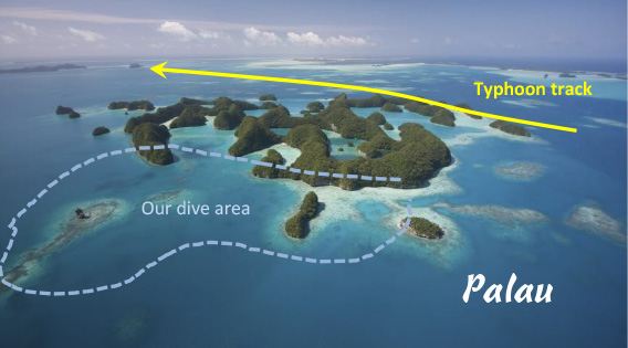 Diving in Palau Perhaps the Top Site in the World for Serious, Varied Diving